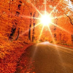 Meet your Posher, Christy